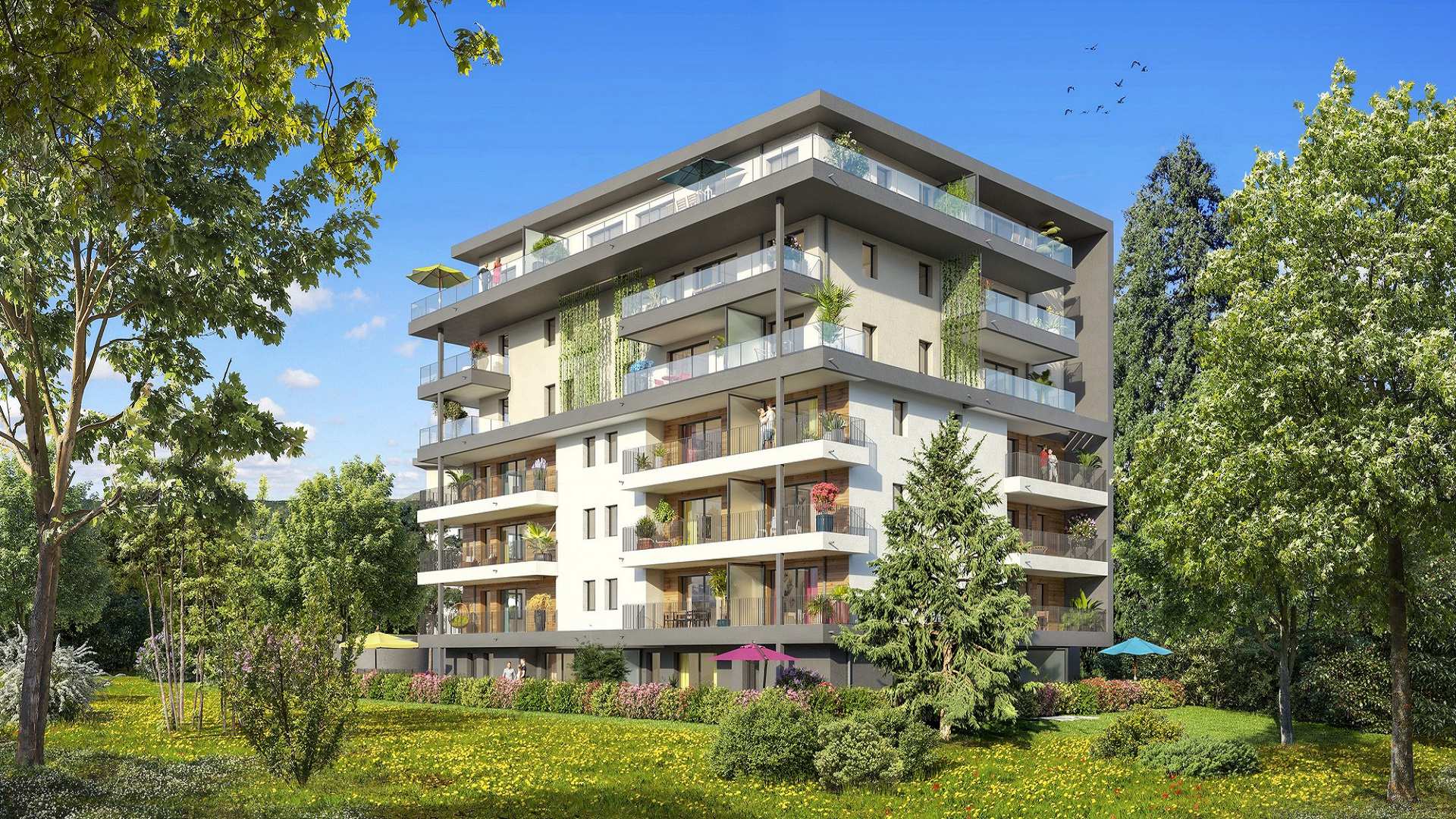 Programme neuf ref. 008-74-3177