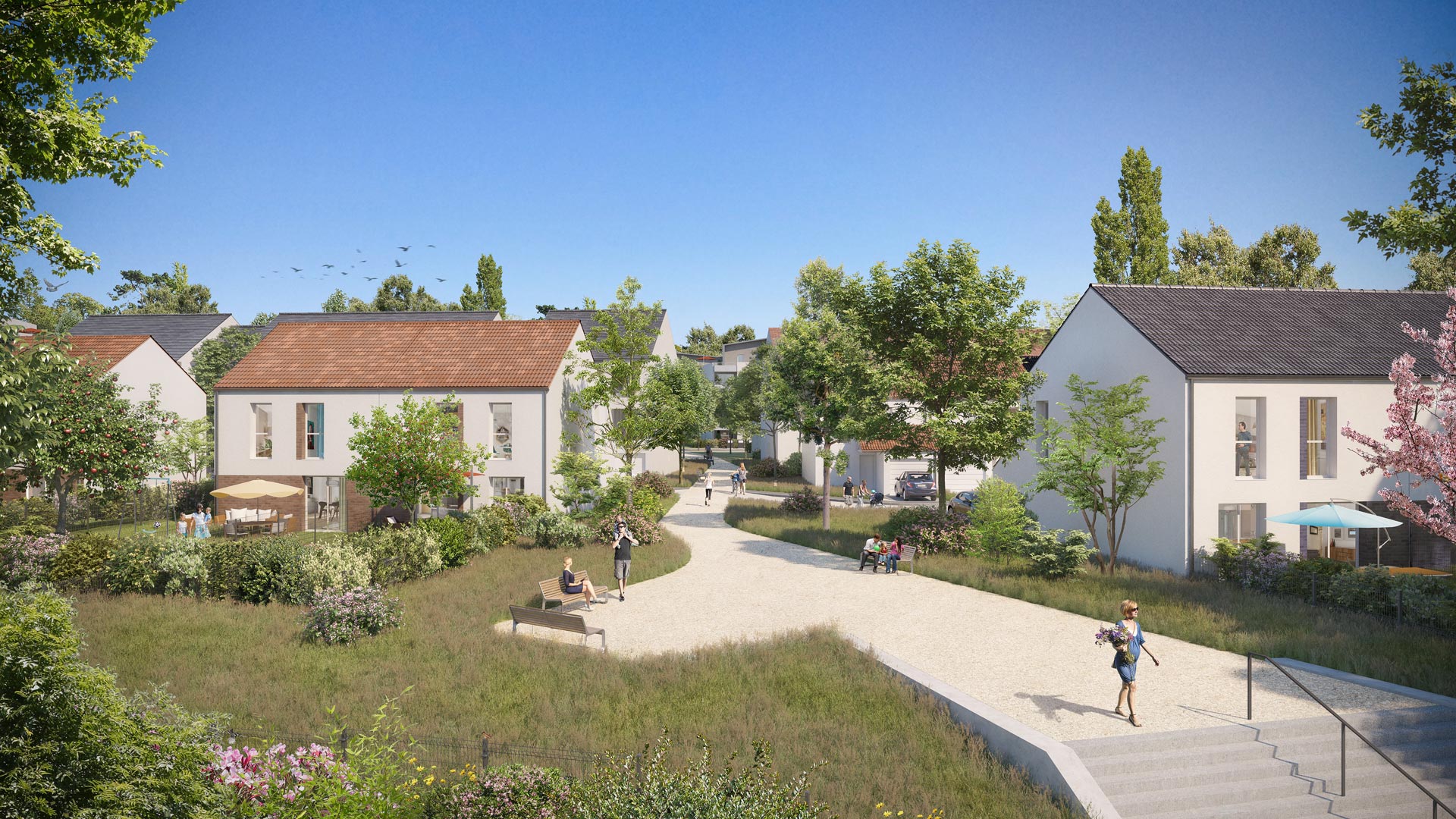 Programme neuf ref. 008-77-3299