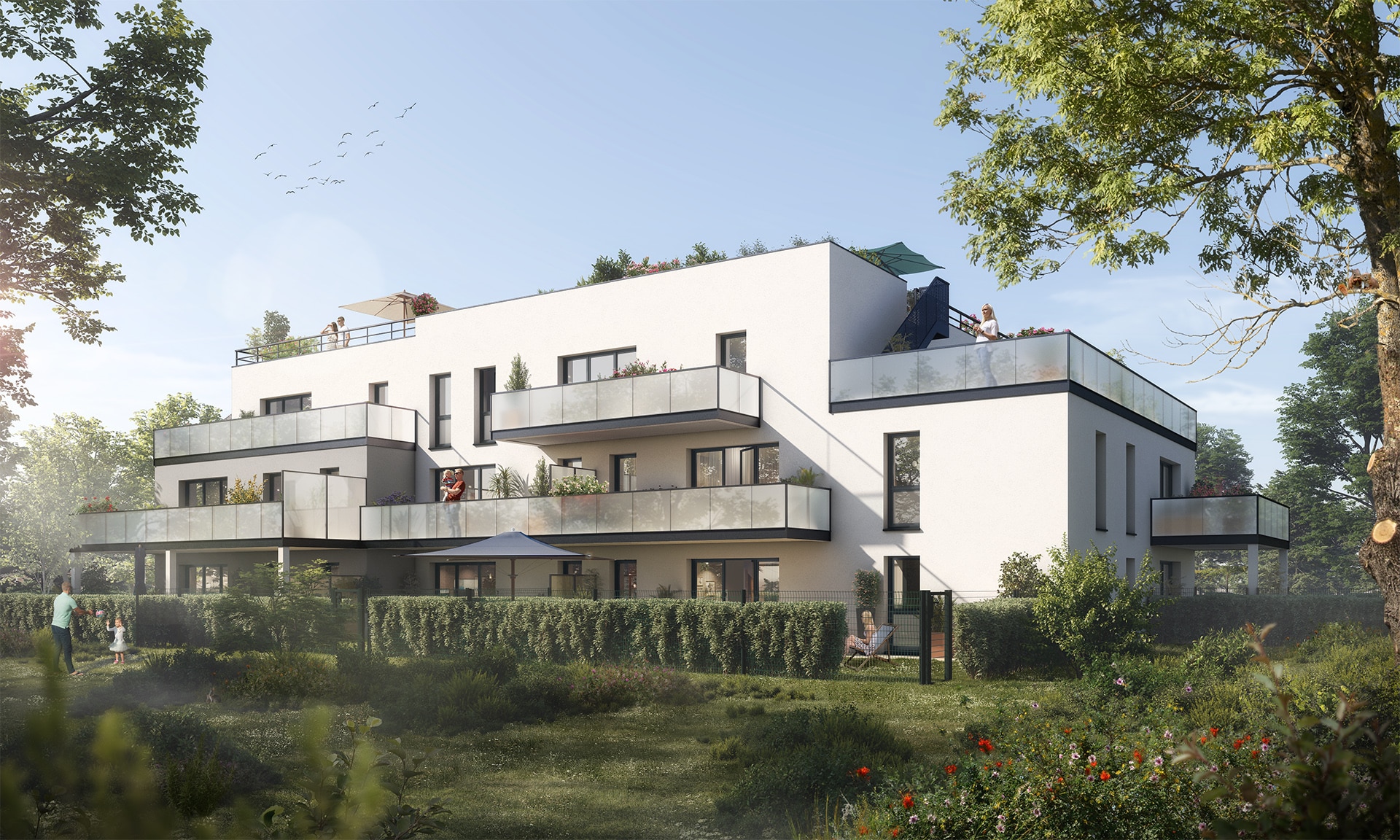 Programme neuf ref. 013-44-3735