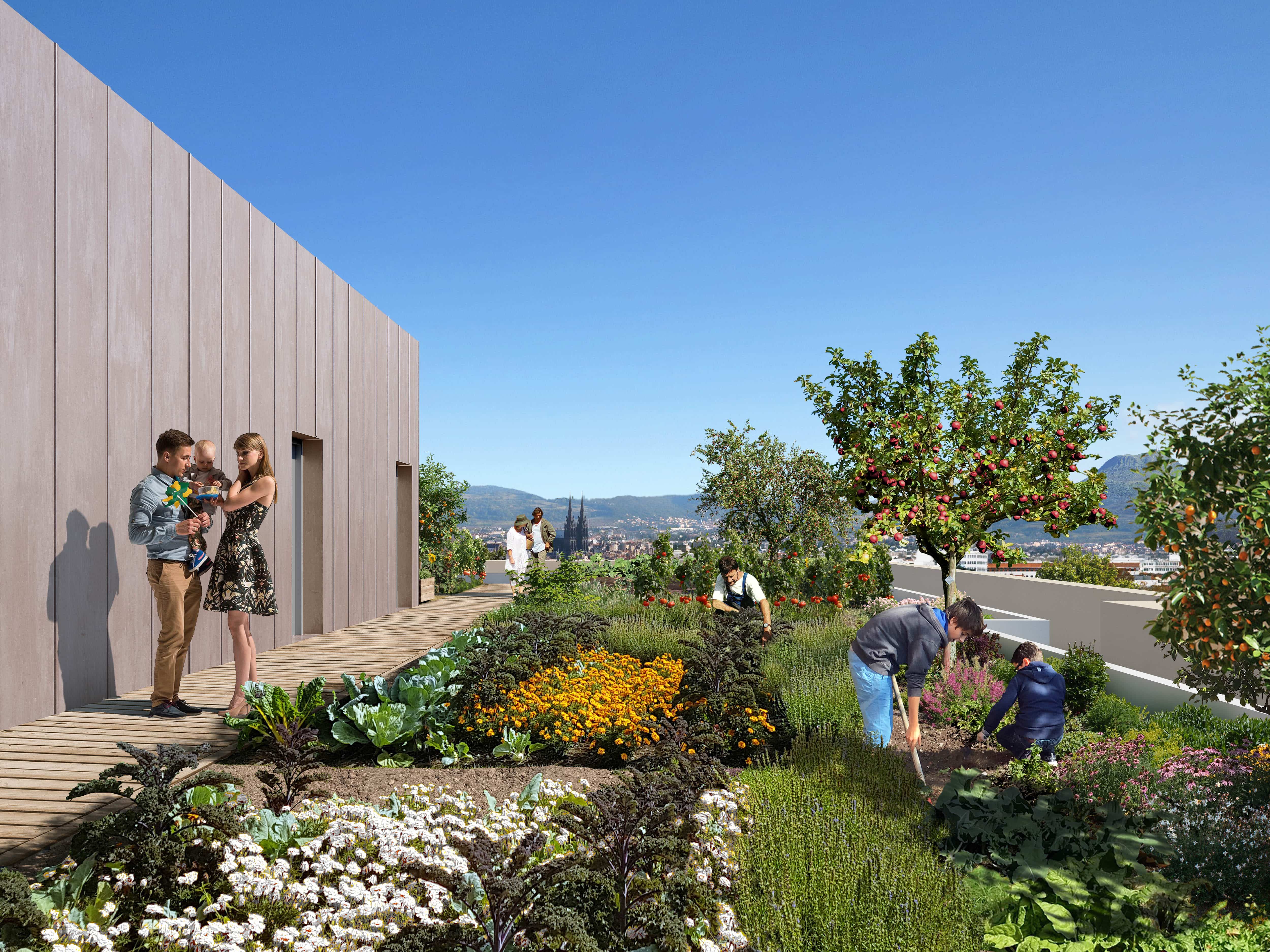 Programme neuf ref. 014-63-3967